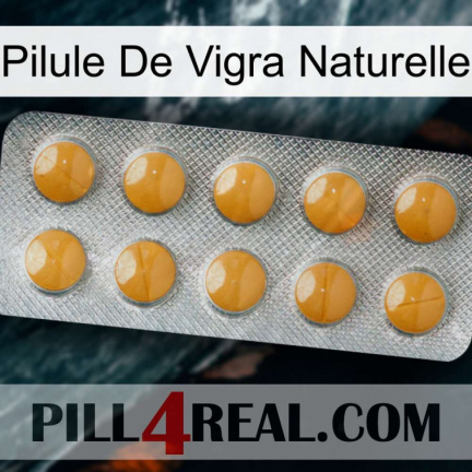 Natural Vigra Pill levitra1